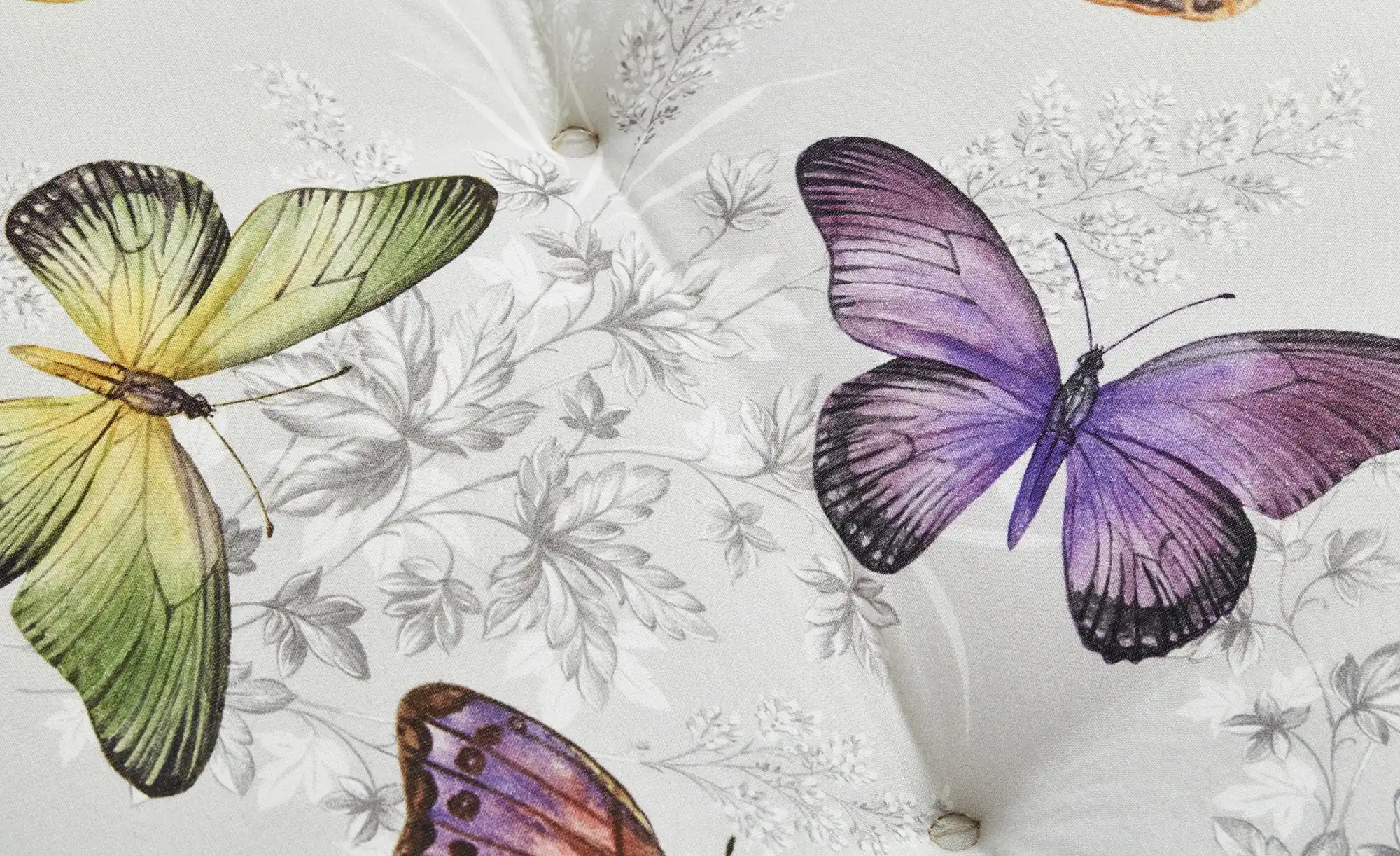 Schwienhorst Auflage  Butterfly