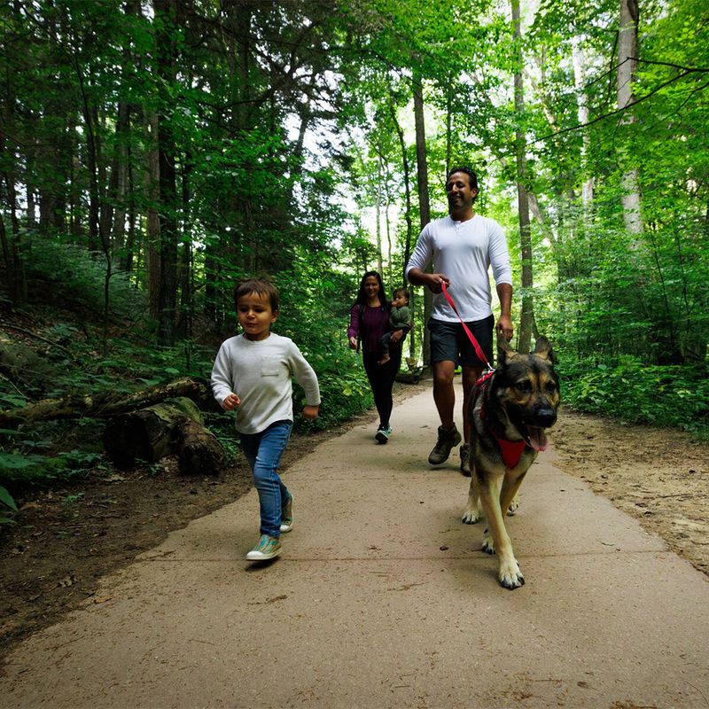 Ruffwear Front Range Hundegeschirr, Red Canyon