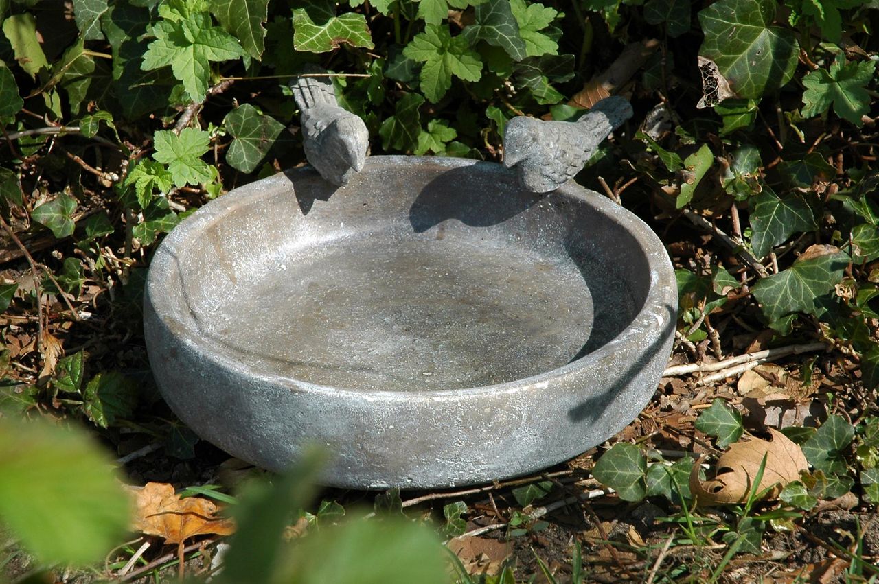 dobar Klassische Vogeltränke 