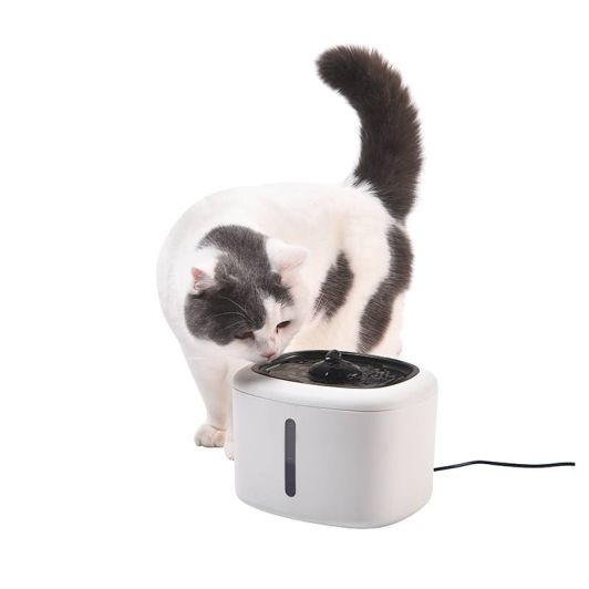 PAWZZ Trinkbrunnen für Haustiere – 2,5 l