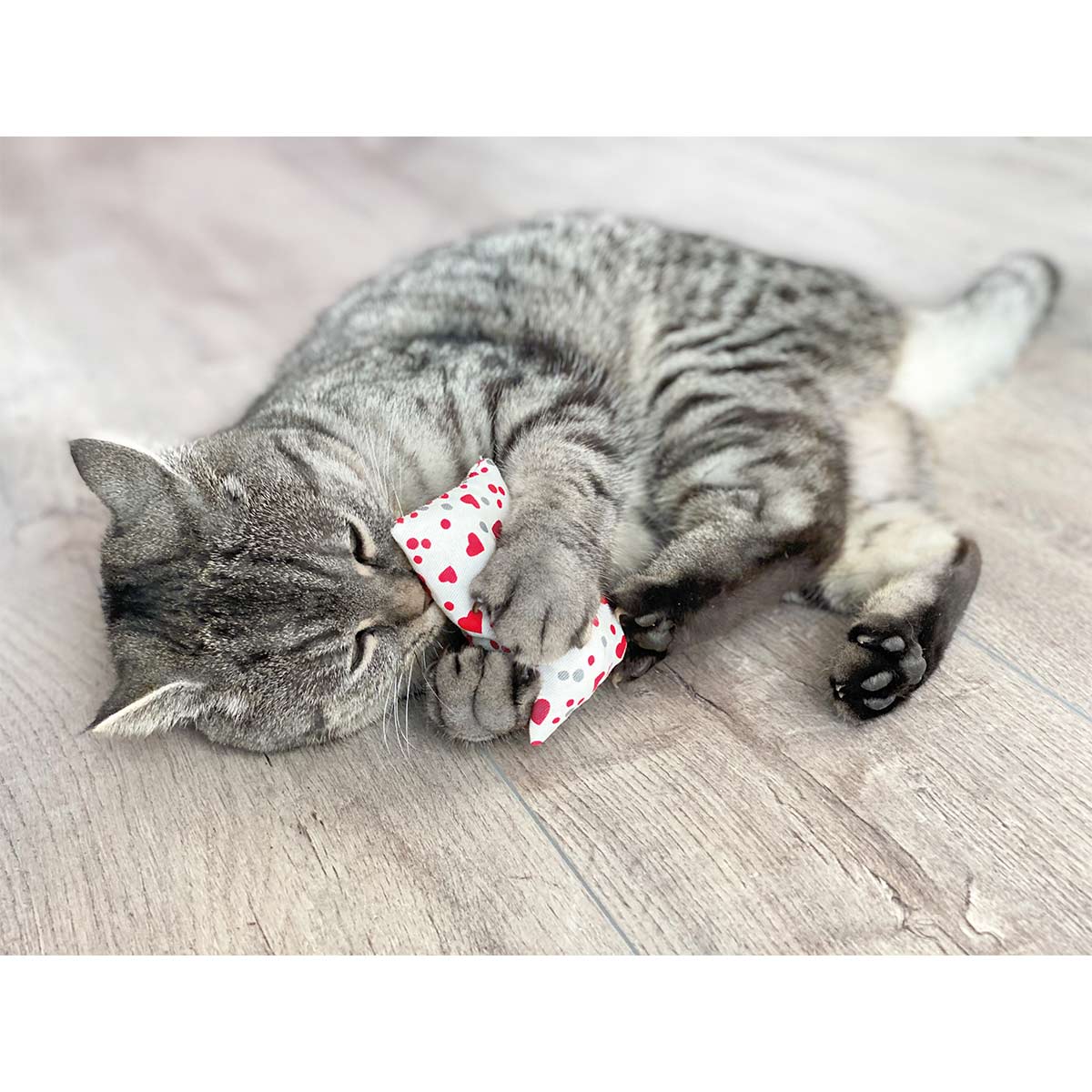 Aumüller Katzenspielkissen Minzini günstig kaufen
