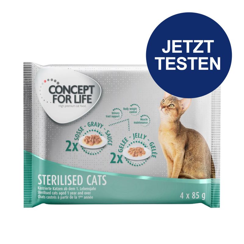 Probierpaket Concept for Life 4 x 85 g zu TOP-Preisen