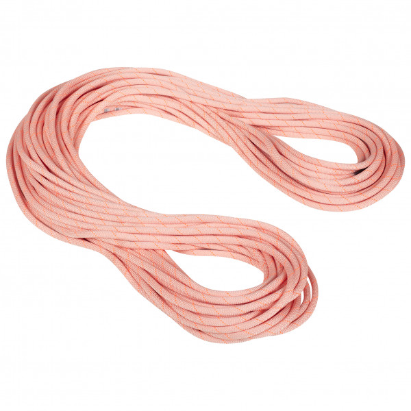 Mammut - 9.9 Gym Workhorse Classic Rope - Einfachseil