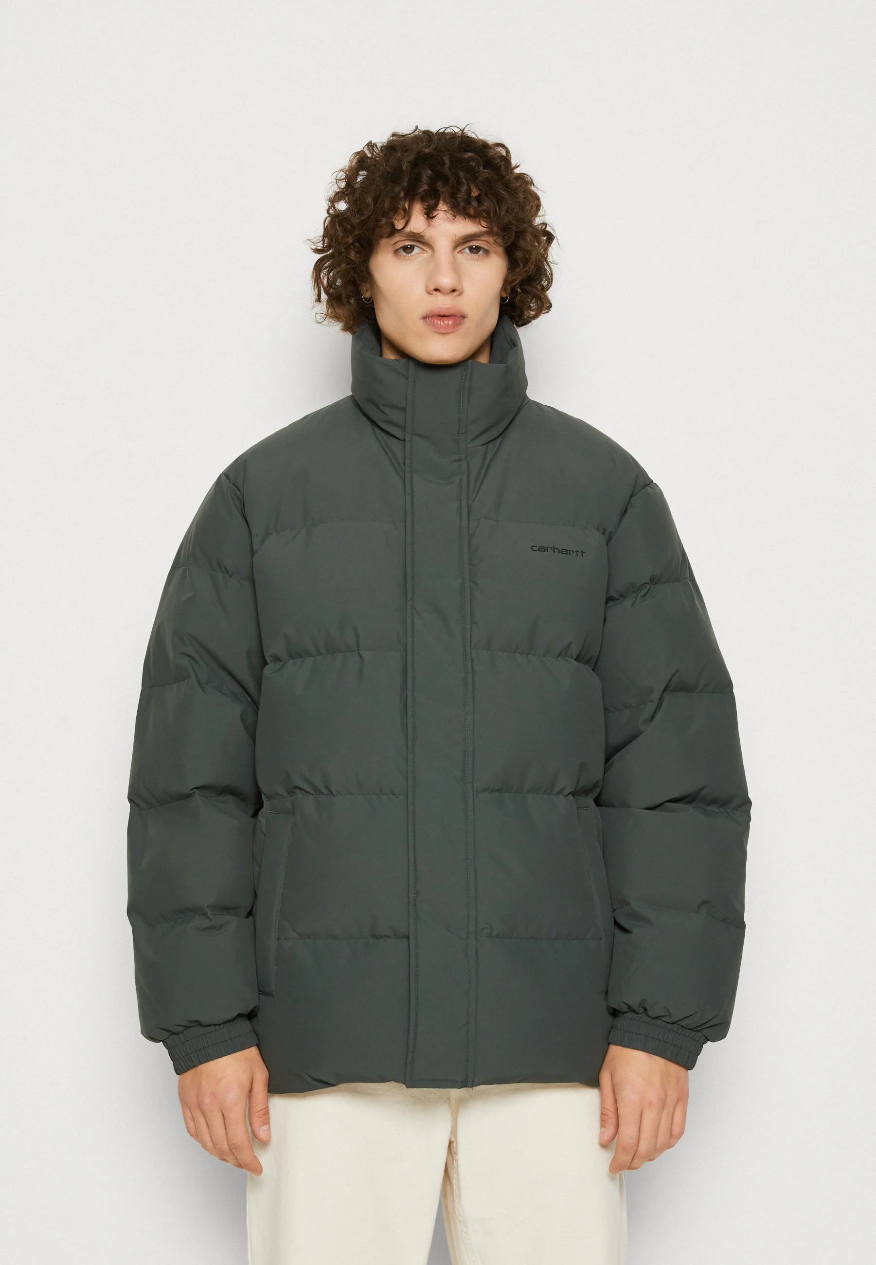 Chaqueta Carhartt WIP DANVILLE - Chaqueta de invierno