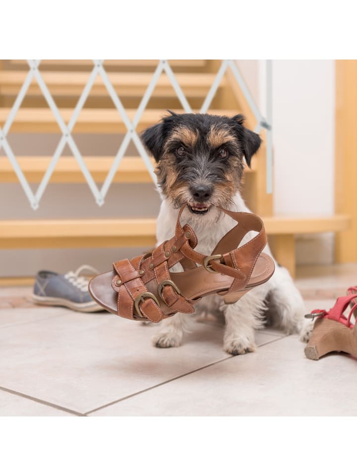 relaxdays Hundeabsperrgitter in Weiß - (B)118 x (H)69 cm günstig kaufen onesize