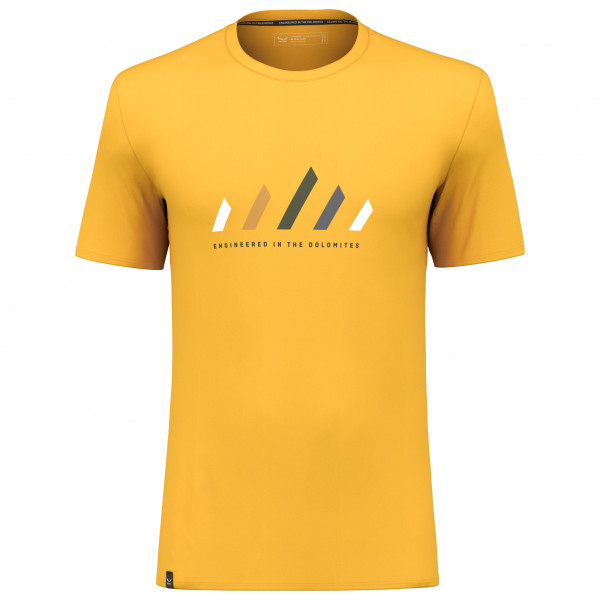 Salewa - Pure Stripes Dry T-Shirt - Funktionsshirt