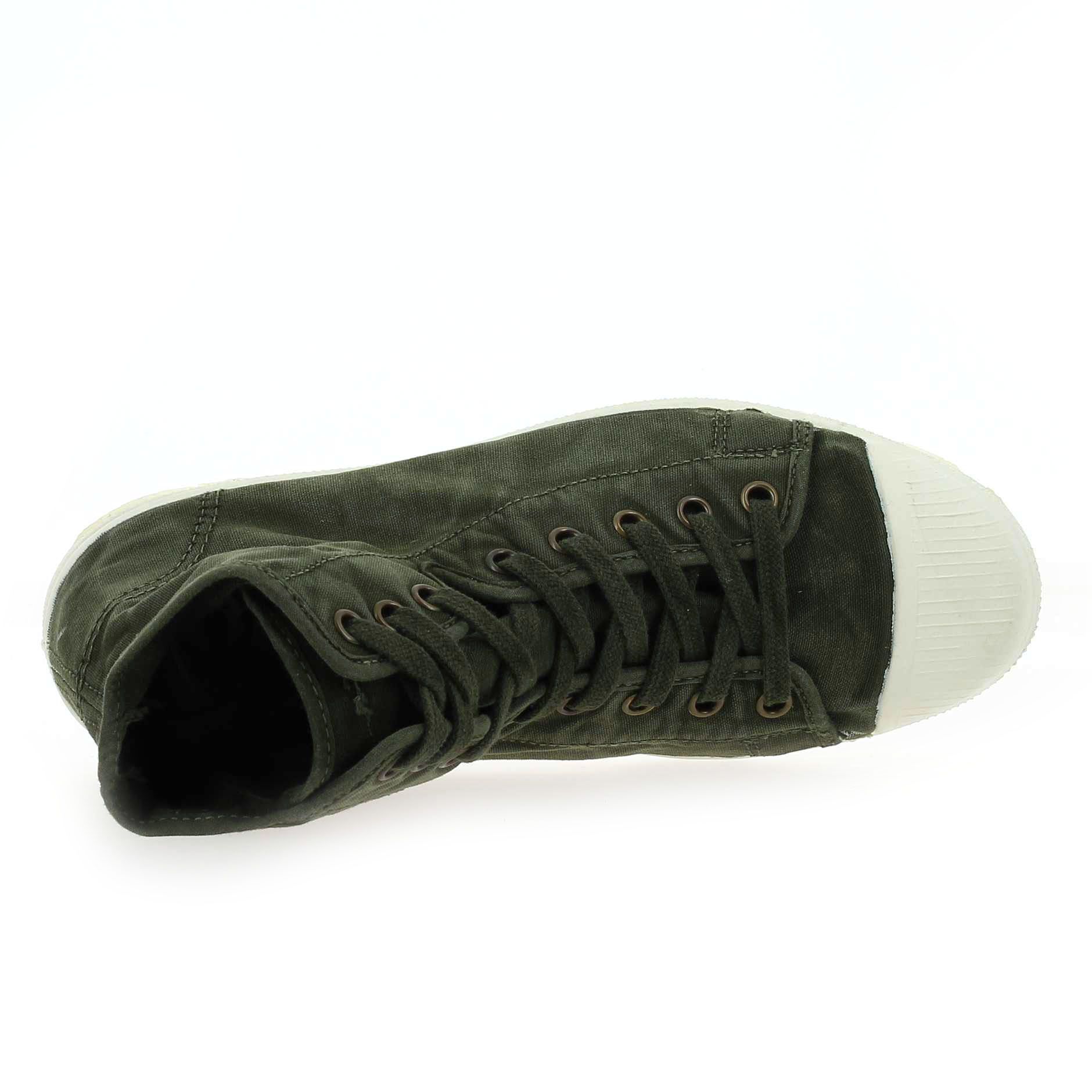 Natural world  107E - Kaki