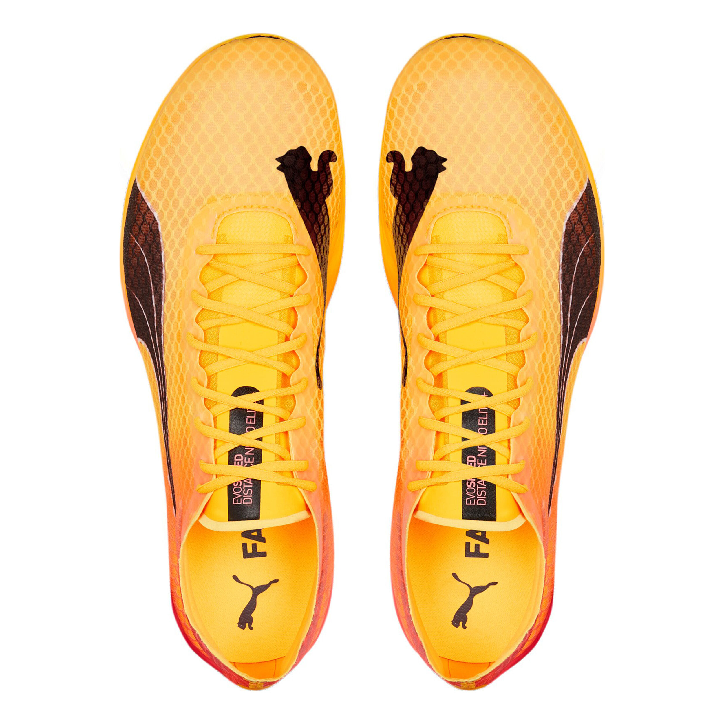 EvoSPEED Distance Nitro Elite+ 2 Spikeschuh - Gelb, Orange