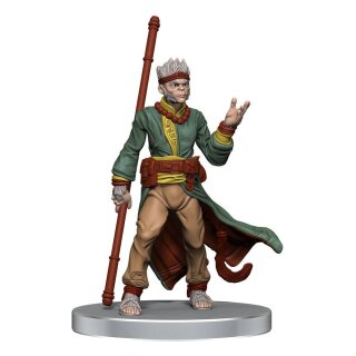 Pathfinder Battles Miniaturen: Impossible Lands - Heroes and Villains Boxed Set (8) (pre-painted)