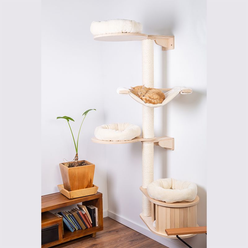 Natural Paradise Wandkratzbaum Magnolia zu TOP-Preisen | bitiba %