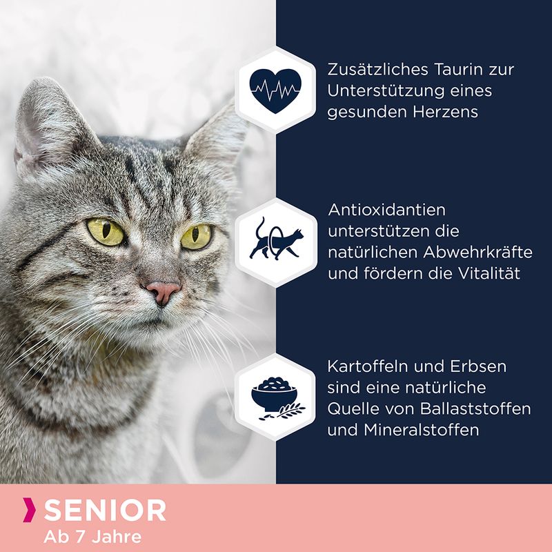 Eukanuba Senior Grain Free Reich an Lachs zu TOP-Preisen | bitiba