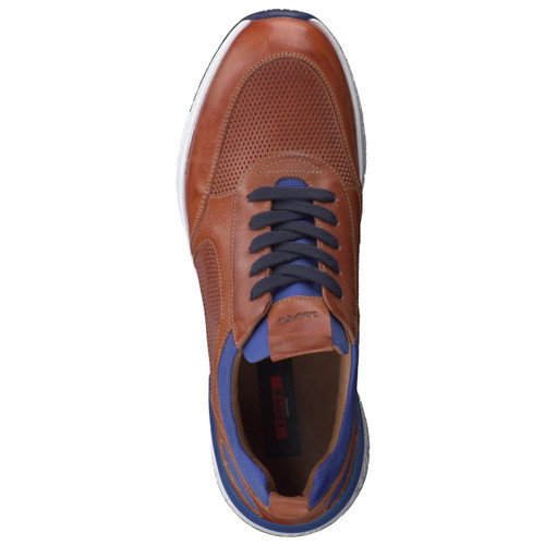 Sneaker-46612890164 Lloyd