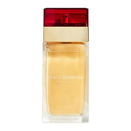 Dolce & Gabbana Pour Femme toaletna voda 100 ml