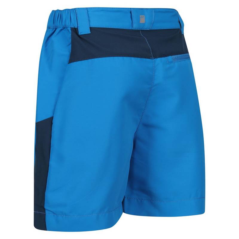 Regatta Sorcer Mountain III Shorts Kinder