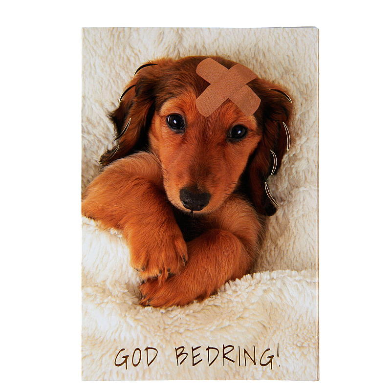 Kort god bedring, hund