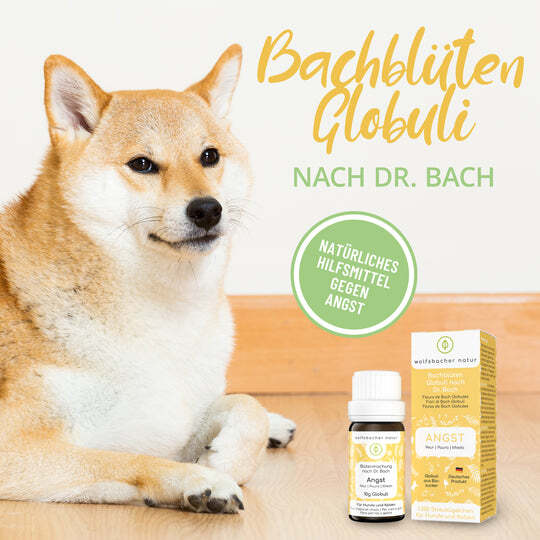 Wolfsbacher Natur Ergänzungsfutter & Aufzucht Wolfsbacher Natur Bachblüten Angst