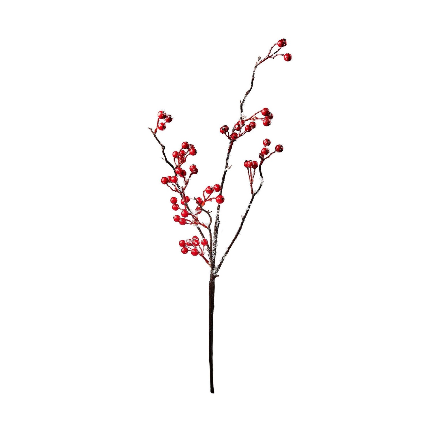 FLORISTA Beerenzweig gefrostet Länge 54cm