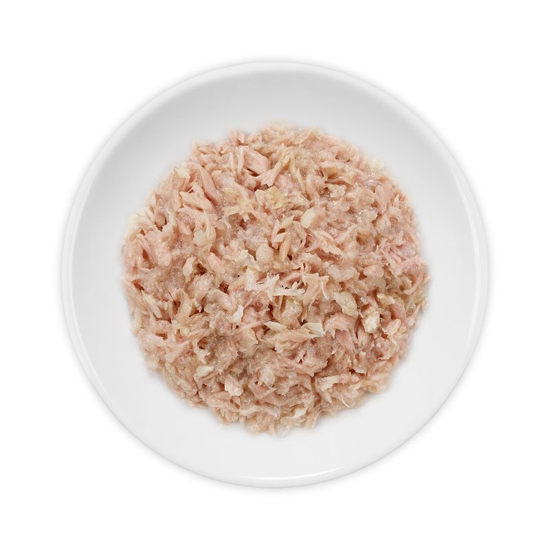 Cosma Asia in Jelly 6 x 170 g zu TOP-Preisen