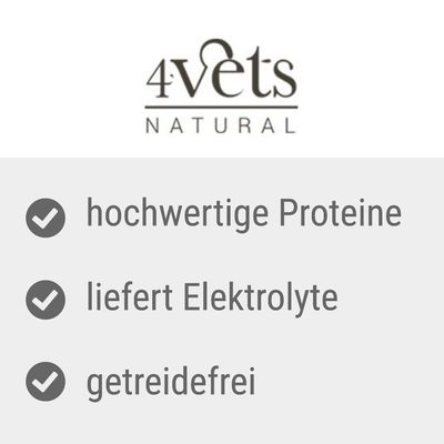 4Vets Natural Canine Hepatic