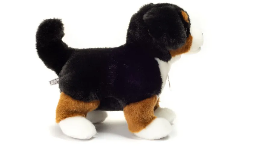 Teddy-Hermann - Berner Sennenhund Welpe stehend, 23 cm