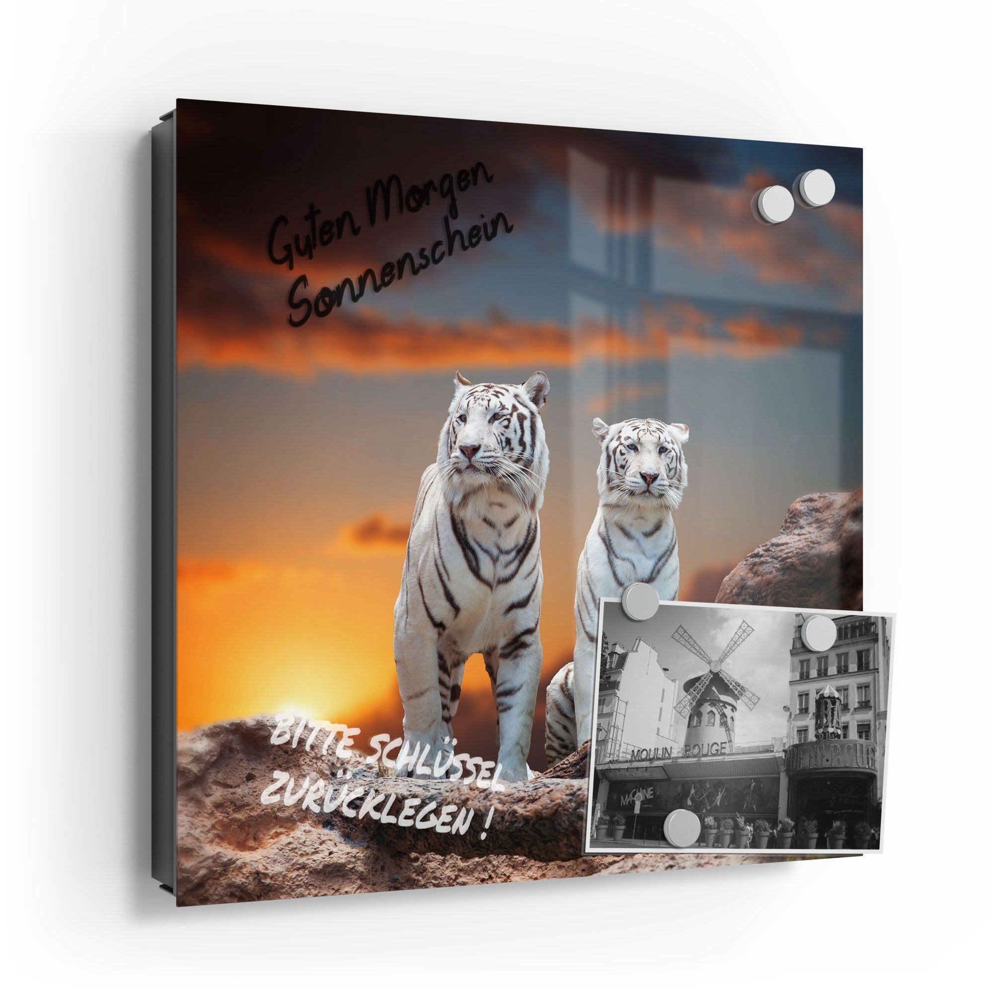 DEQORI Schlüsselkasten 'Weiße Tiger im Abendlicht', Glas Schlüsselbox modern magnetisch beschreibbar