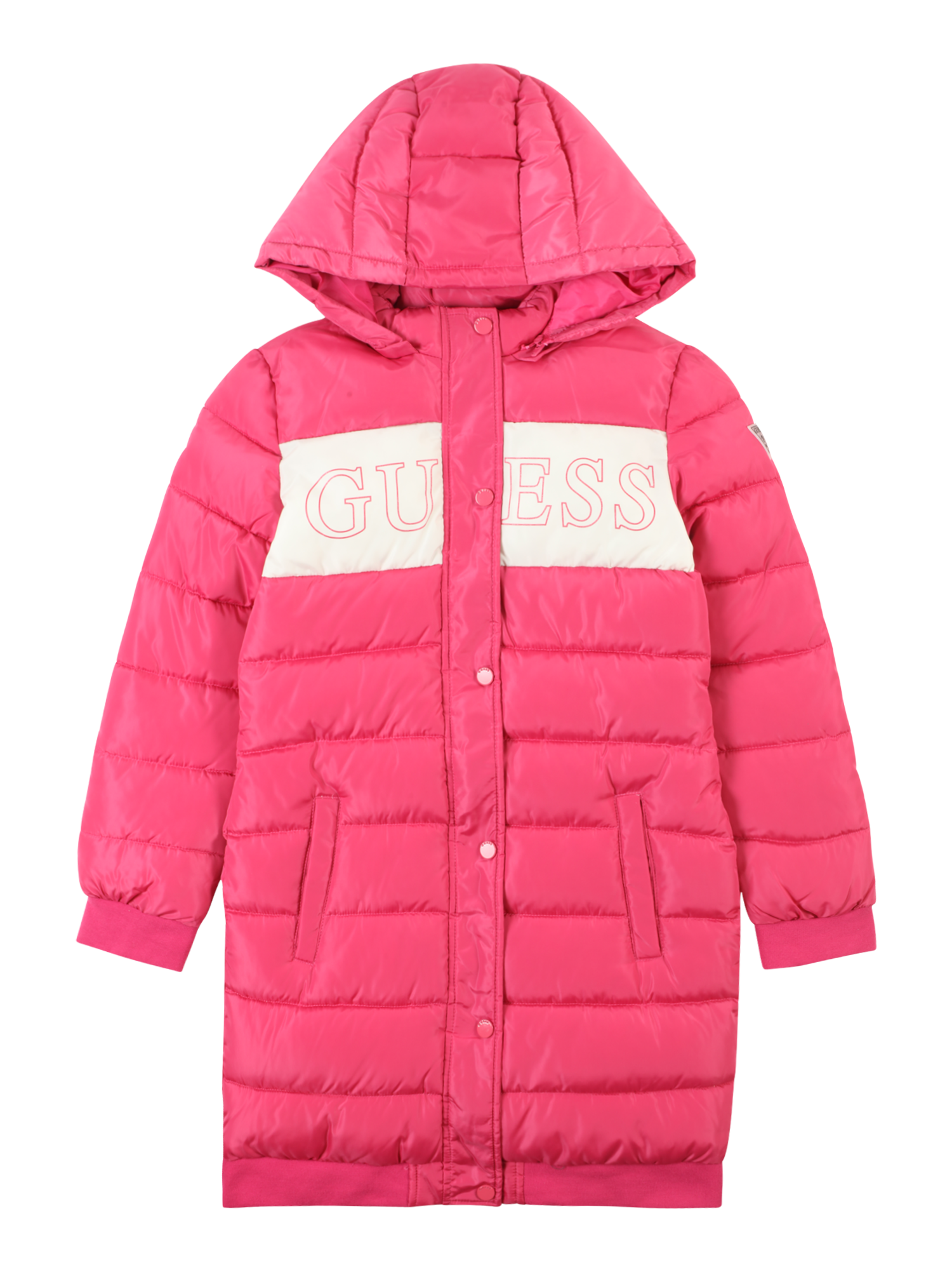 Winter Jacket