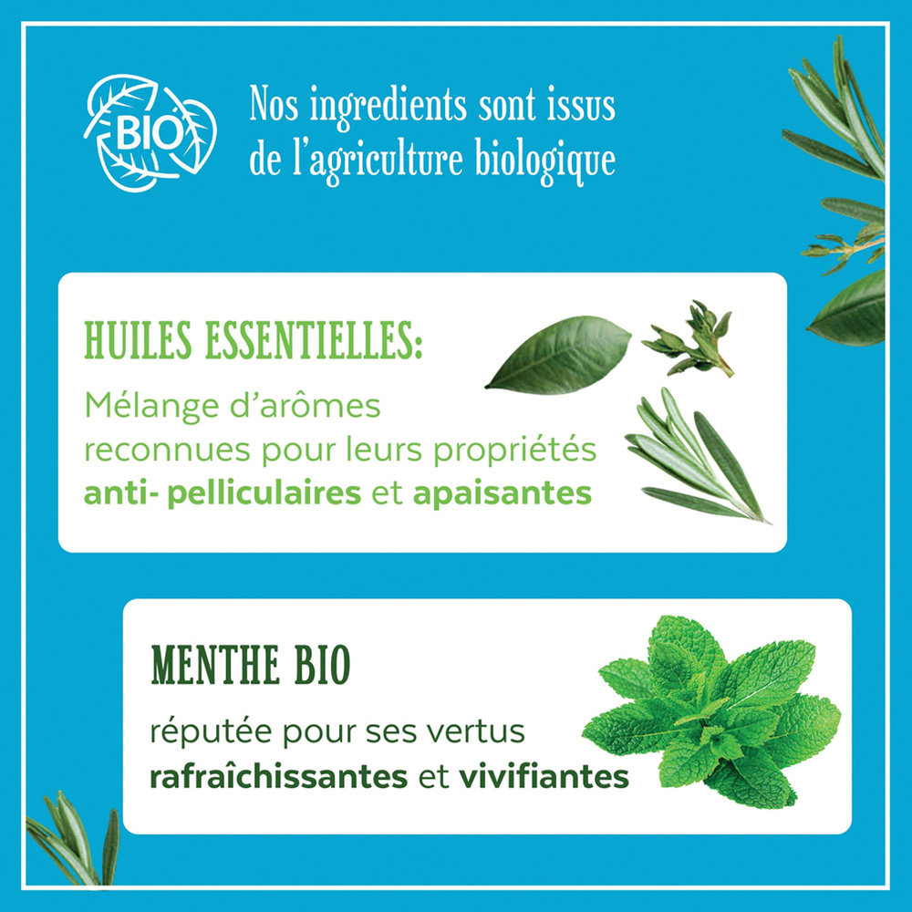 le petit marseillais Shampooing Anti-Pelliculaire Infusion Huiles Essentielles Et Menthe Bio - 250 ml Shampoing