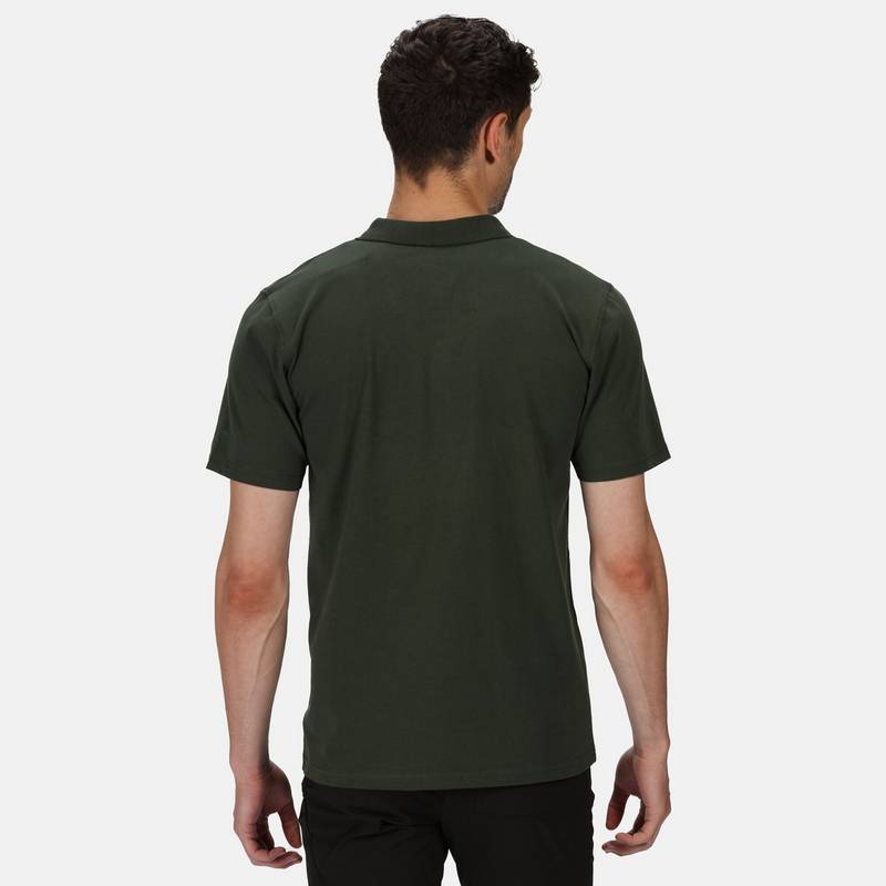 Regatta Sinton Poloshirt Herren