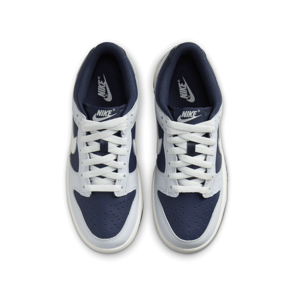 Nike Dunk Low GS FB9109-002 / blau