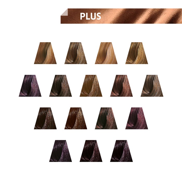 Color Touch Plus