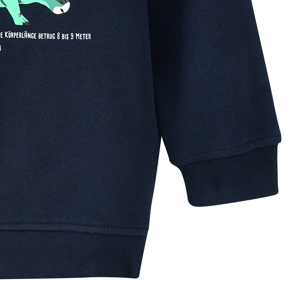 Kinder Sweatshirt mit Triceratops-Motiv