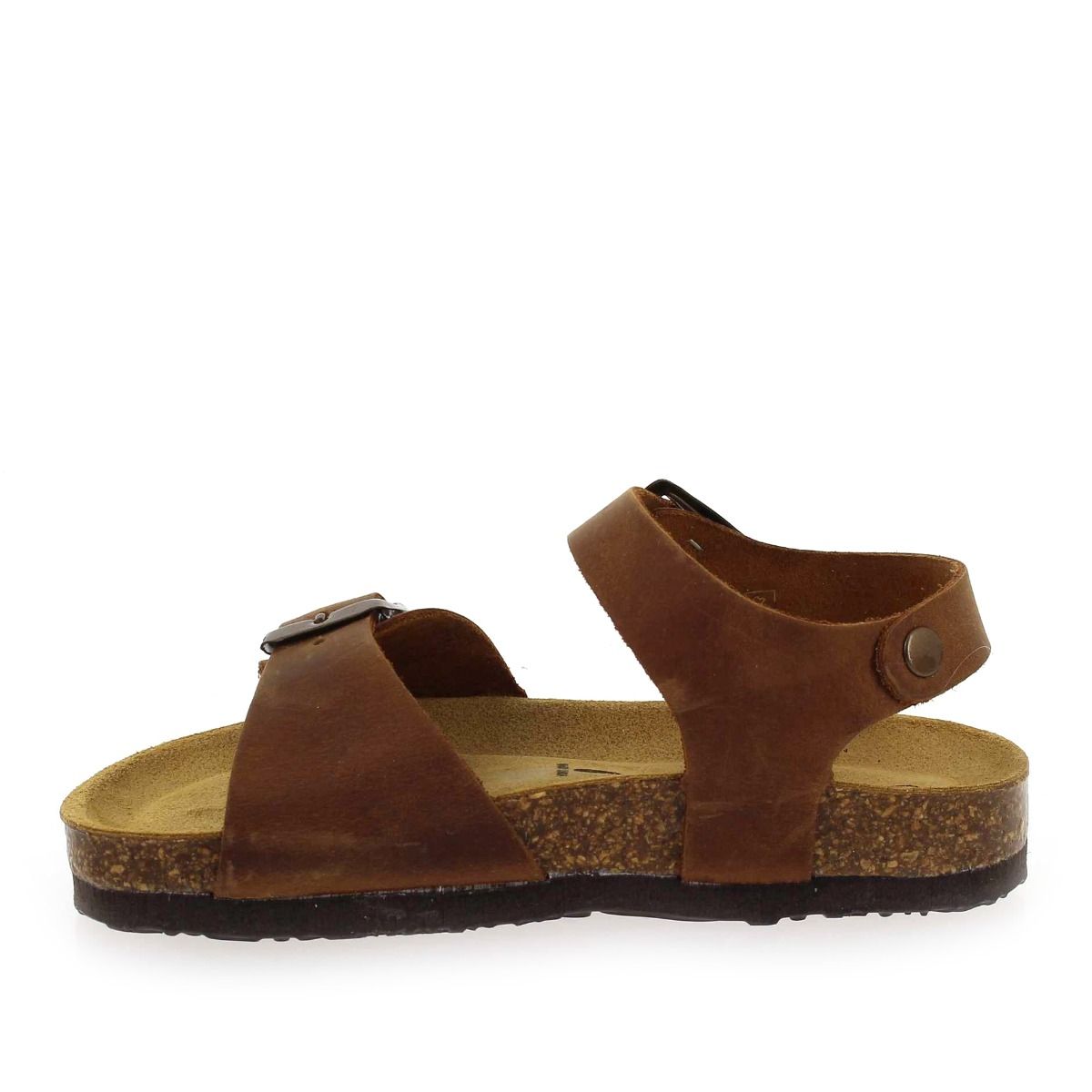 Plakton  LOUIS - Marron