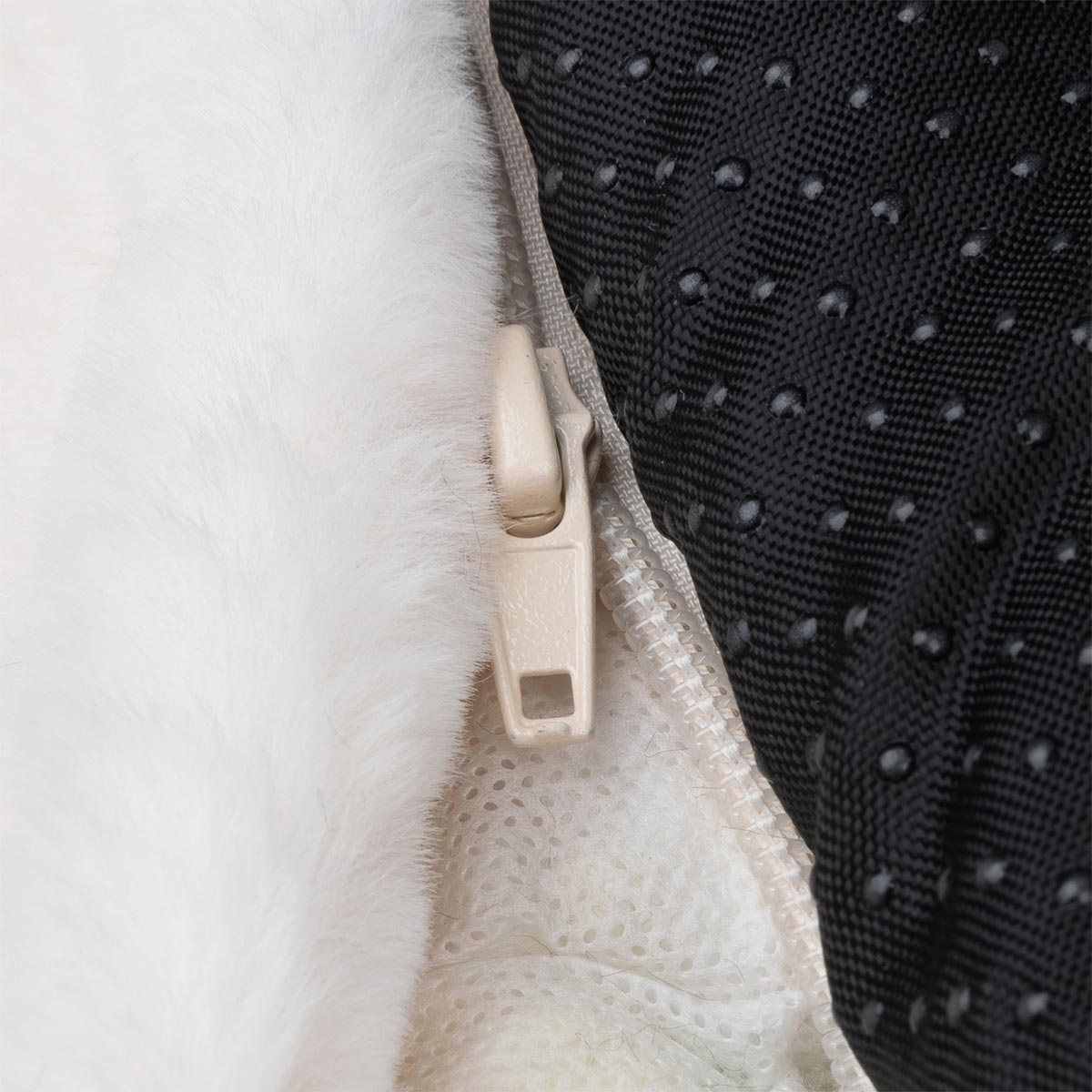 District 70 Sofa Bett NUZZLE merengue günstig kaufen bei ZooRoyal