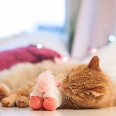 Aumüller Katzenspielzeug Einhorn