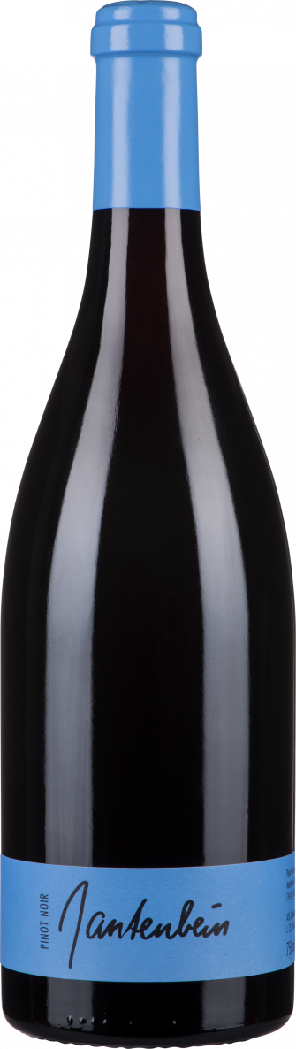 Gantenbein Pinot Noir 2021