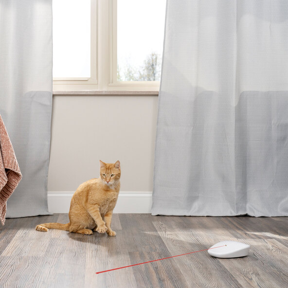 Automatisches  Katzenspielzeug Laser Tail