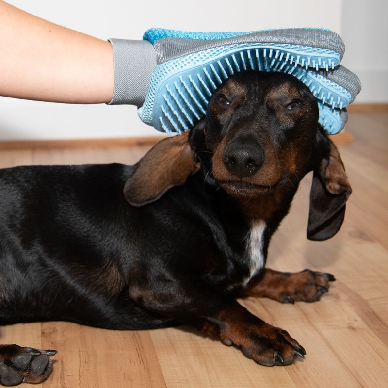 Fellpflege Handschuh zu TOP-Preisen
