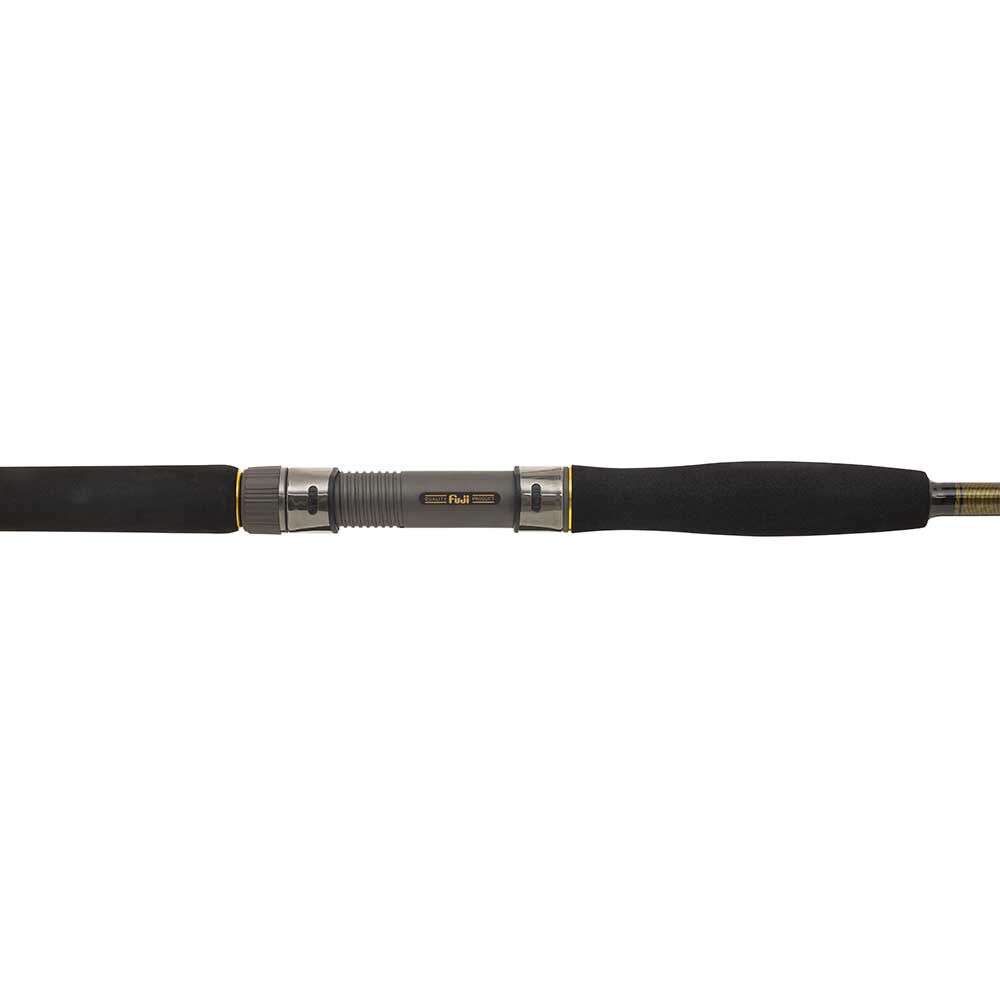 Penn Legion Cat Gold Spin Spinnrute für Welsangeln, 2,75 m, 50–175 g
