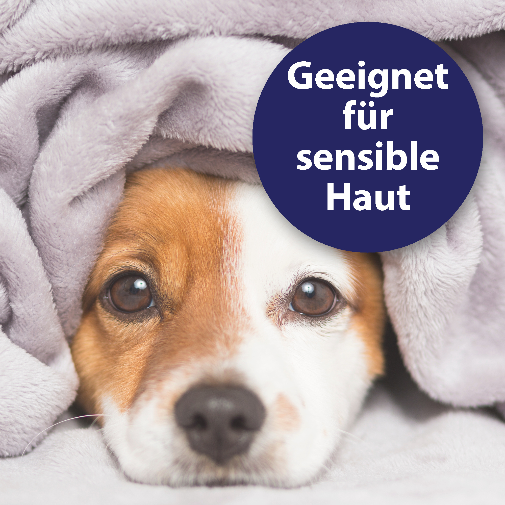 Canosept Augen- & Ohrenpflege Canosept Augenpflege Pads für Hunde 100 Stück