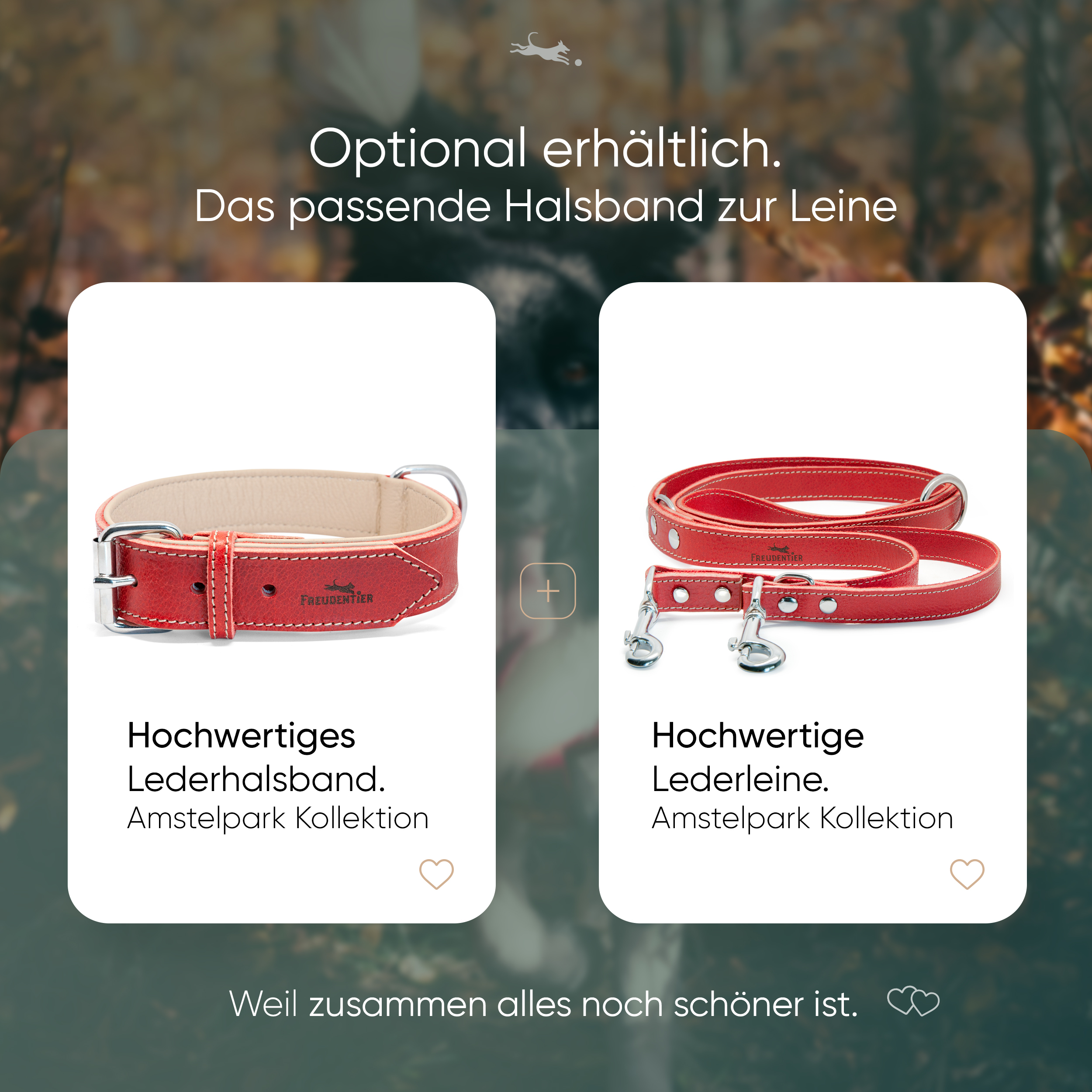 Freudentier Hundehalsbänder Freudentier gefüttertes Halsband aus Leder rot M-L