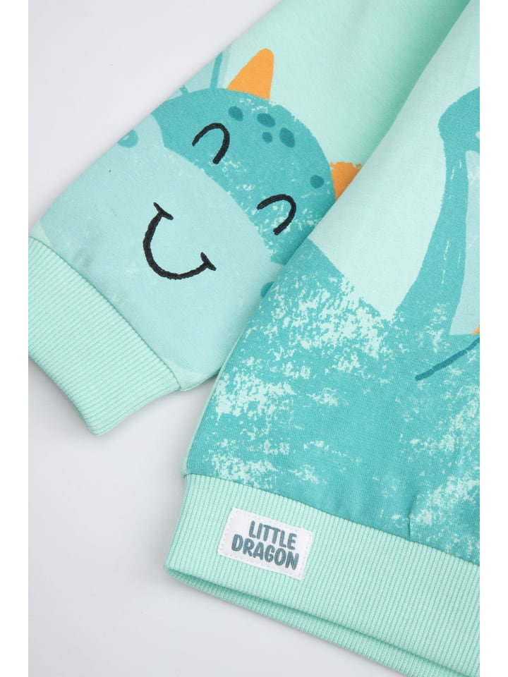 Coccodrillo Langarm-T-Shirt in in Minzfarbe günstig kaufen