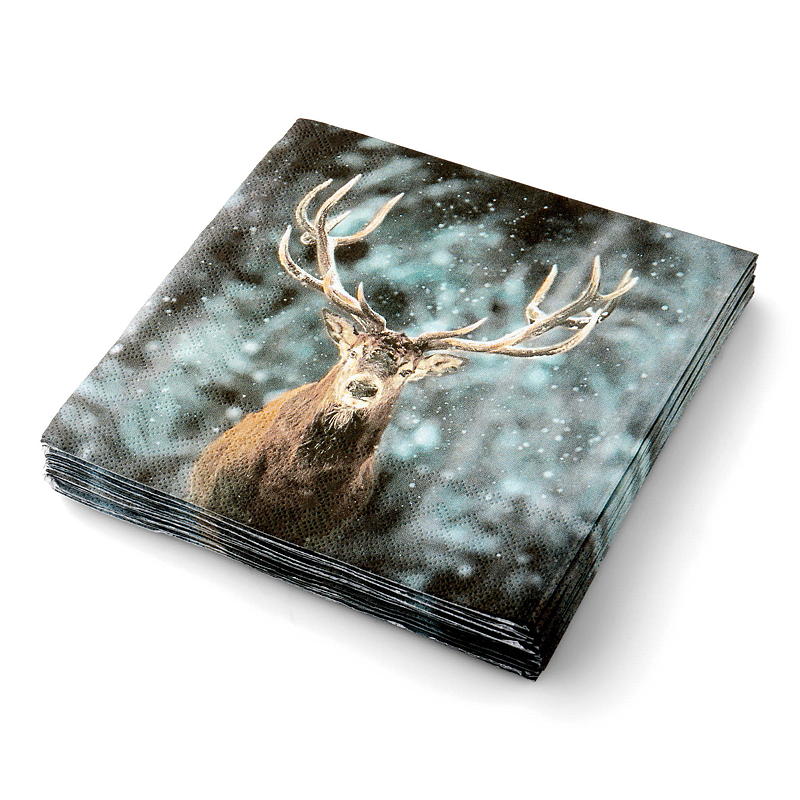 Vie Eco Servietter 20-pk 33x33 cm, Vinter