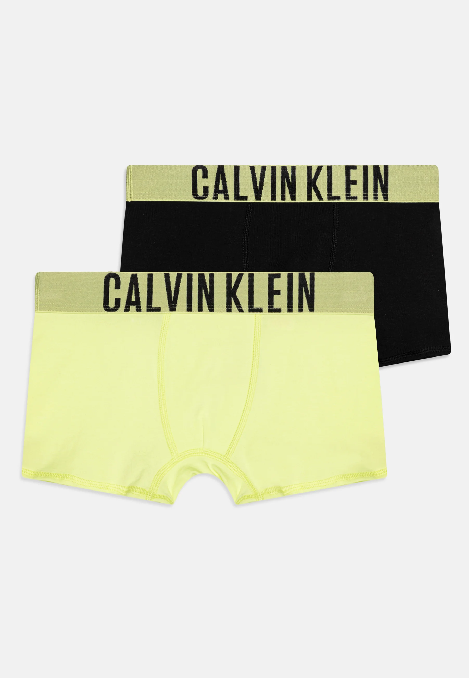 Calvin Klein Underwear TRUNK PACK DE 2 - Culotte