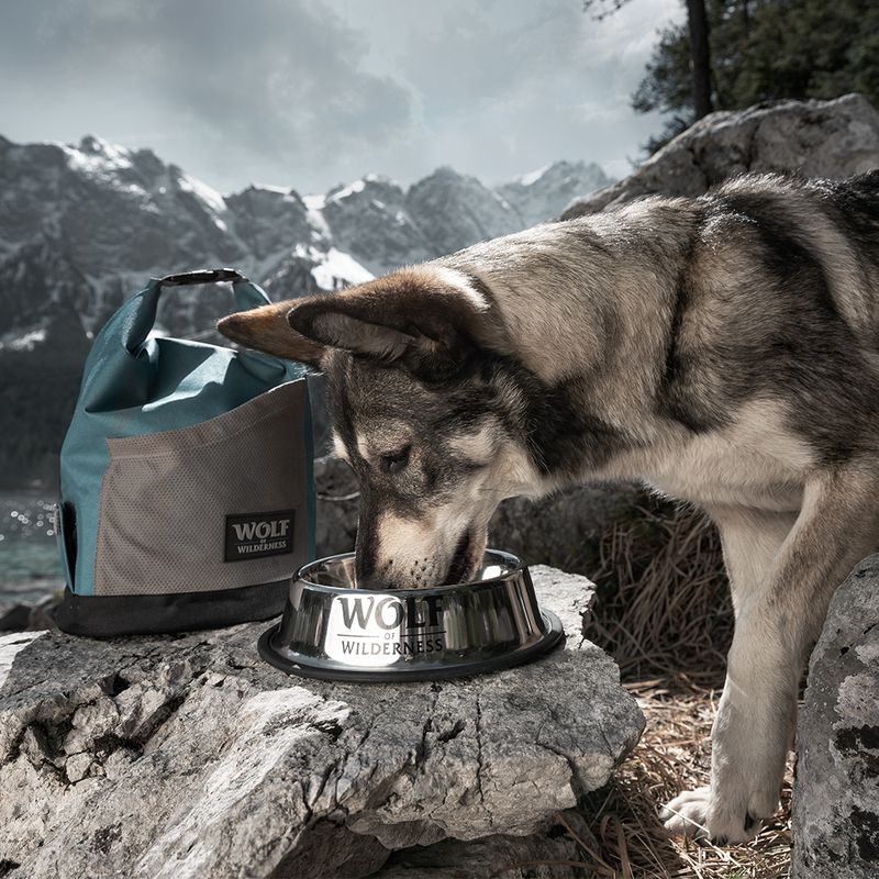 Wolf of Wilderness Rutschfester Edelstahlnapf für Hunde zu TOP-Preisen