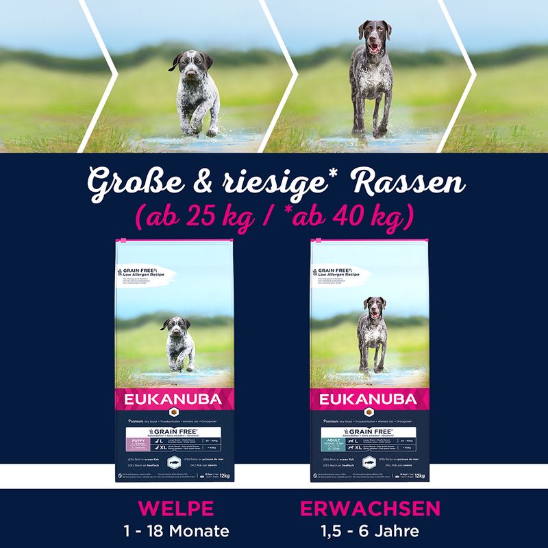 Eukanuba Grain Free Puppy Large Breed Lachs