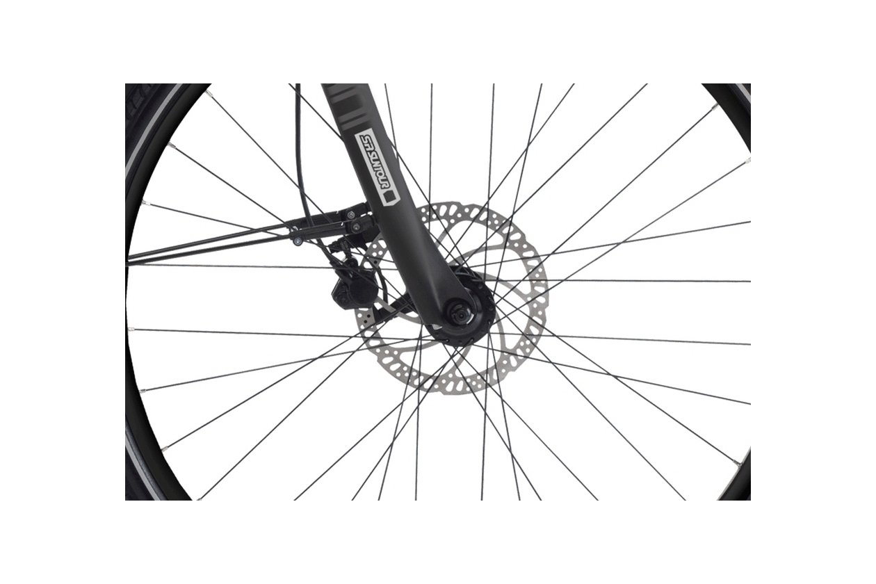Haibike Sduro Trekking 1.0 - 400 Wh - Auslaufmodell - 28 Zoll - Diamant