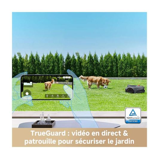 Mașină de tuns iarba robotizată Dreame ViAX 300