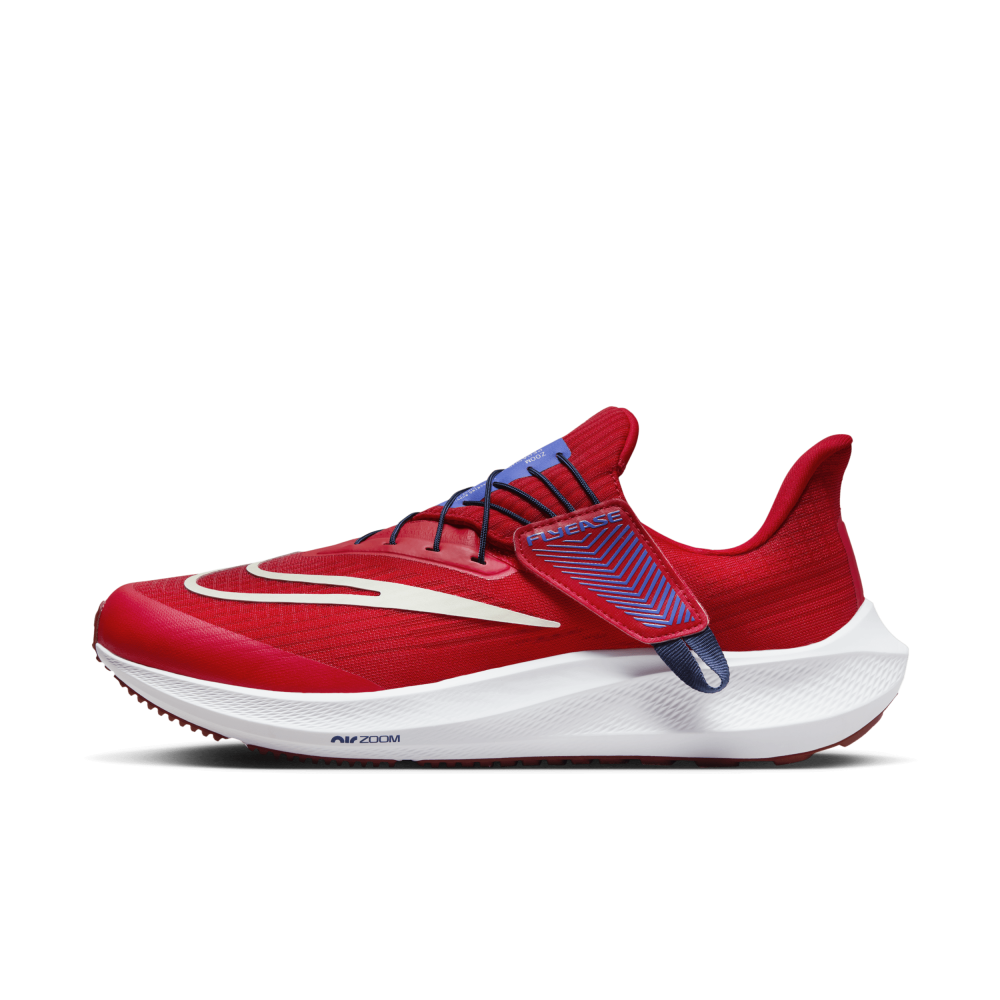 Nike Pegasus FlyEase DJ7381-601 / rot