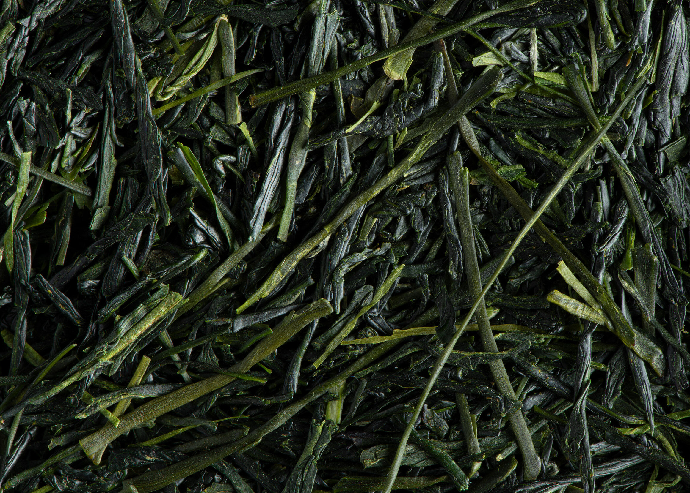 Shincha Haruto 2023-Boîte 50g