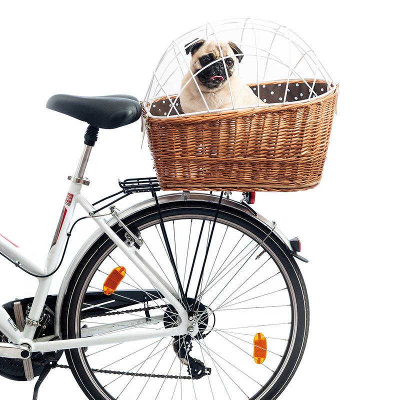 Aumüller Hunde-Fahrradkorb für Gepäckträger mit Schutzgitter zu TOP-Preisen